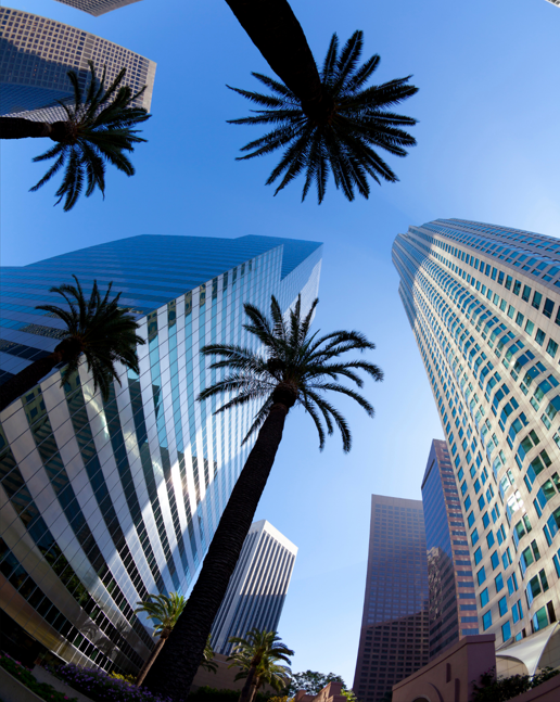 Tall skyscrapers with palm trees against a clear blue sky.
